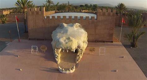 Excursion unique et enrichissante au Crocoparc d'Agadir